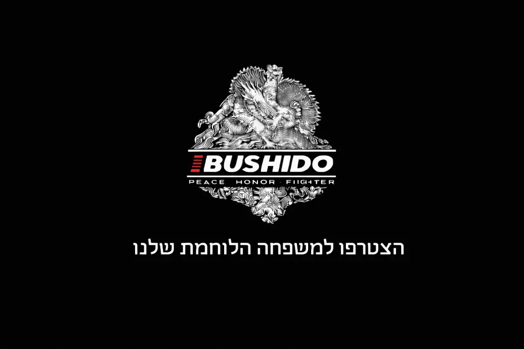 הכנה לצבא